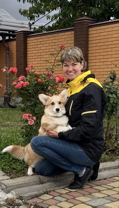 Вельш корги пемброк