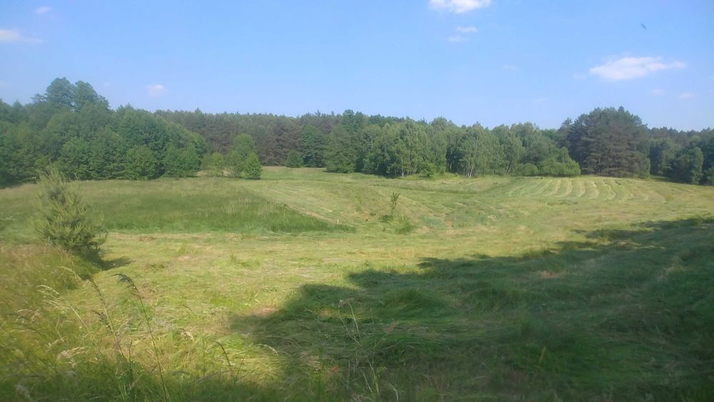 Działka 3,94ha w środku lasu z małym stawem tylko 14zł/m2