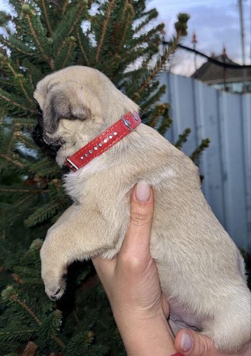 Здорова та активна дівчинка