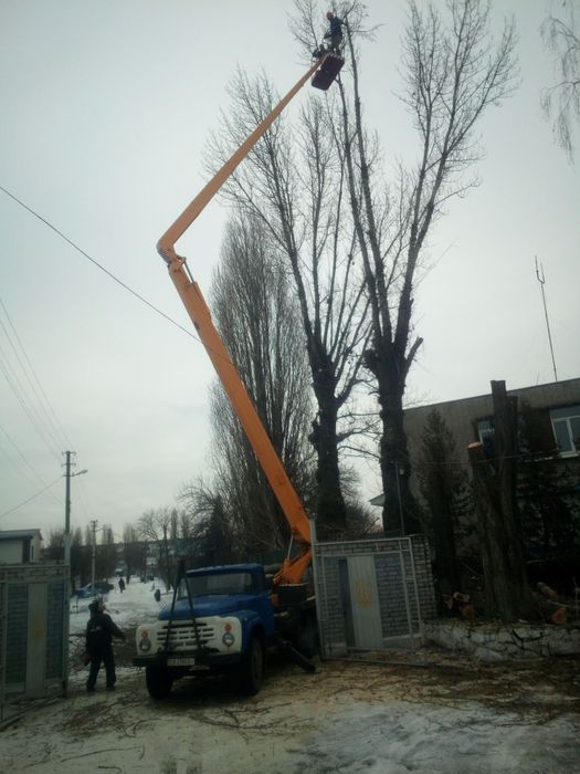 Обрезка деревьев