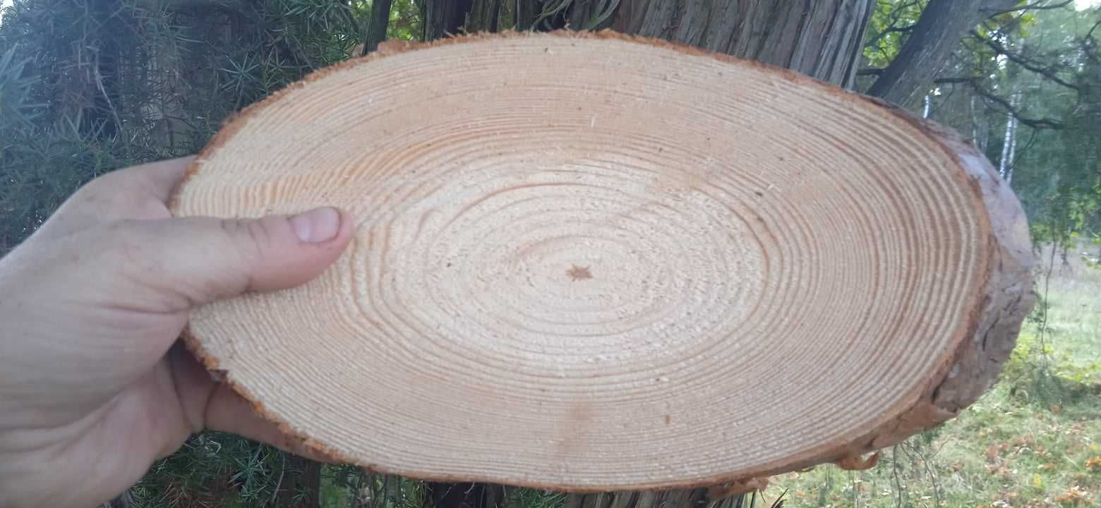 Plastry drewna,20sztuk, tabliczki, krążki drewniane, dekoracje, skośne