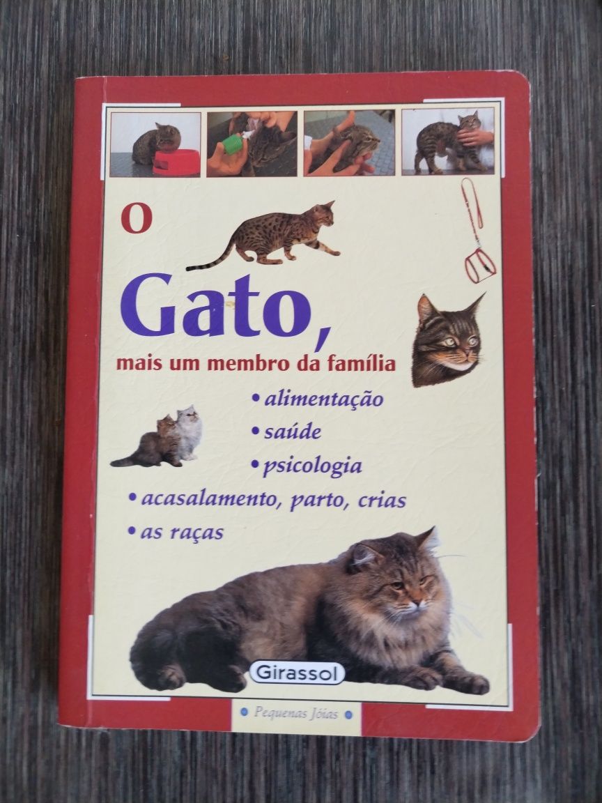 Livro - tudo sobre gatos