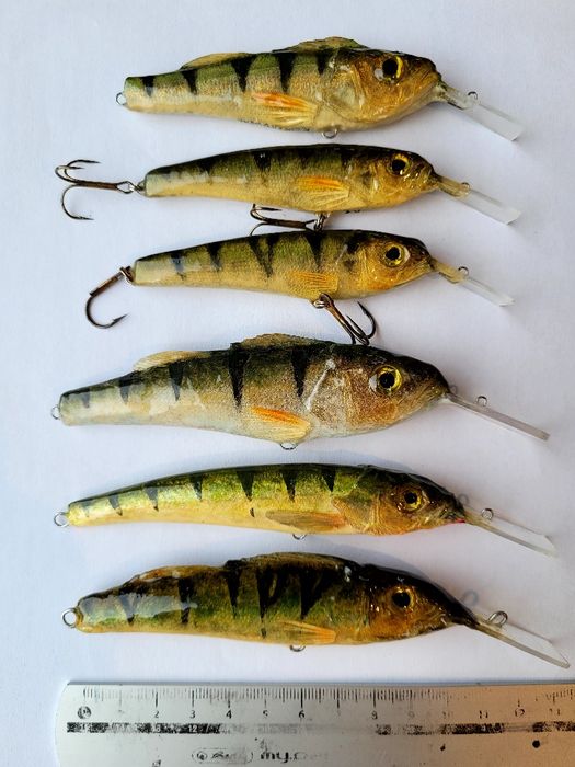 Wobler Morel Team K. Łuczkowski