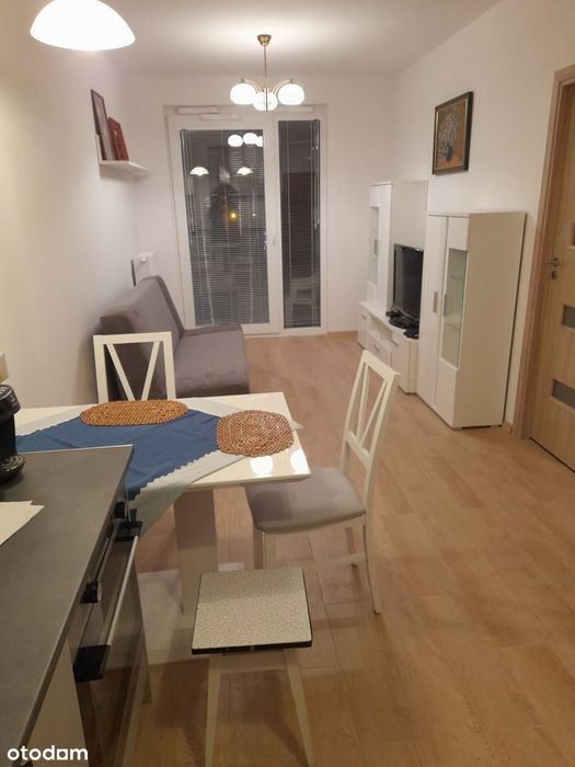 Mieszkanie do wynajęcia