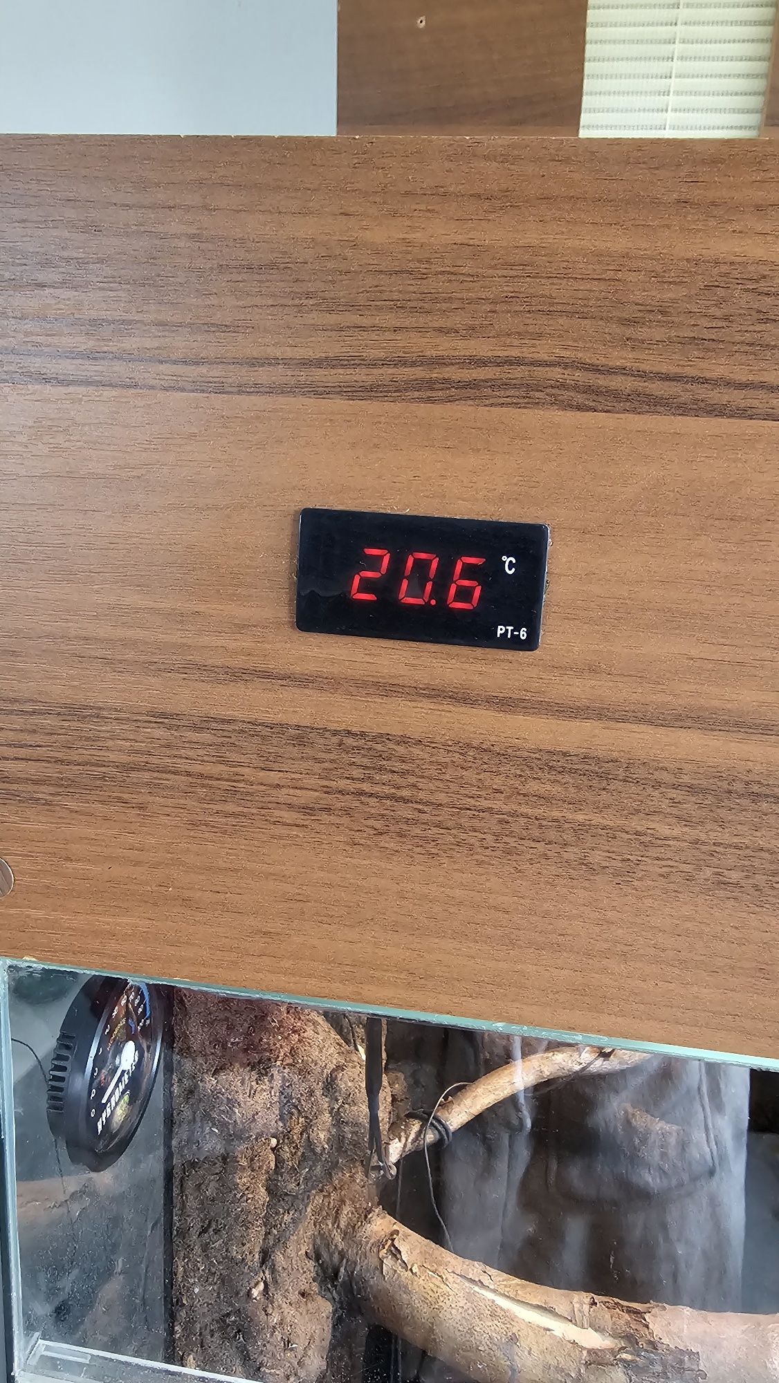 Ogromne terrarium dla kameleona, gady, super zestaw.