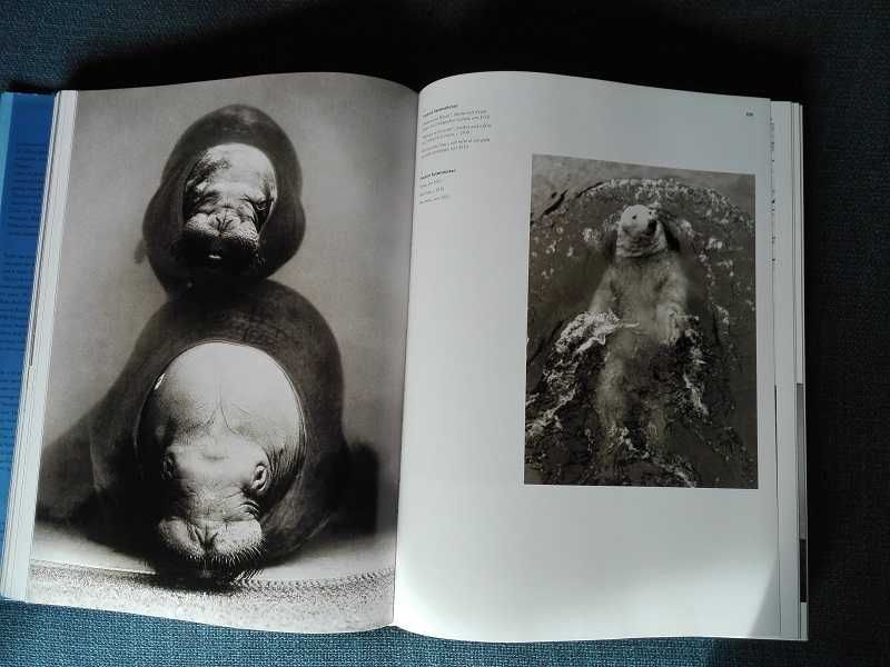 Livro: Berlin de Hans Christian Adam (Edição XL) Taschen