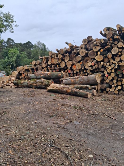 Sprzedam drewno opałowe I kominkowe