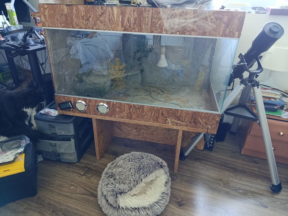 Wielkie terrarium z OSB