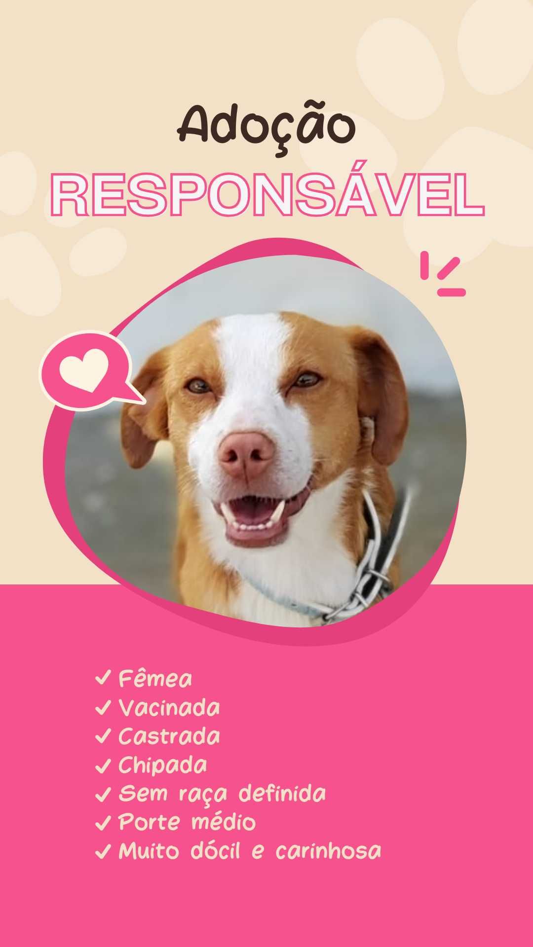 Adoção responsável