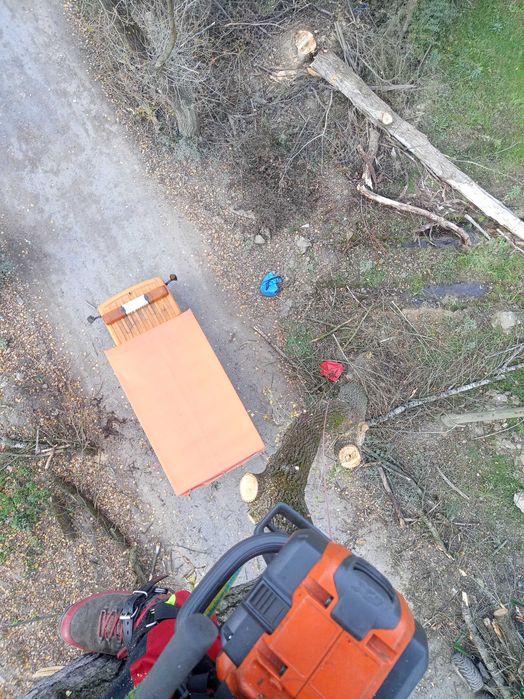 Czyszczenie karczowanie dzialek wycinka pod inwestycje Mulczer leśny