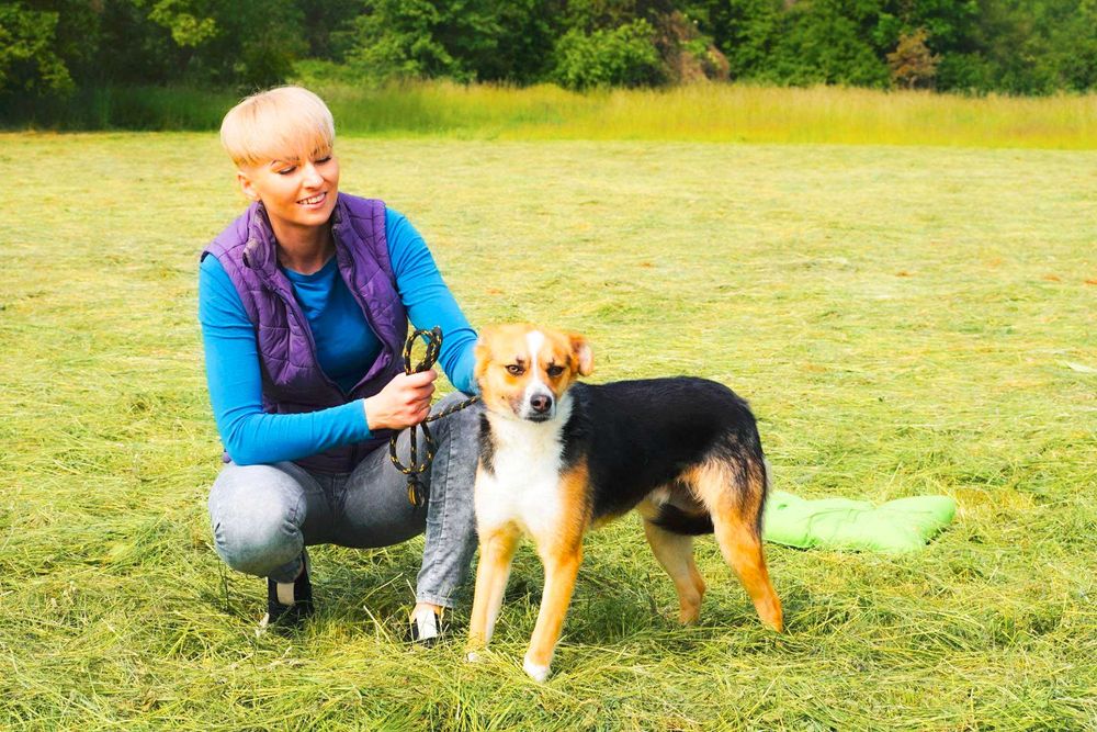 Salud jego urok i wdzięk mówi sam za siebie