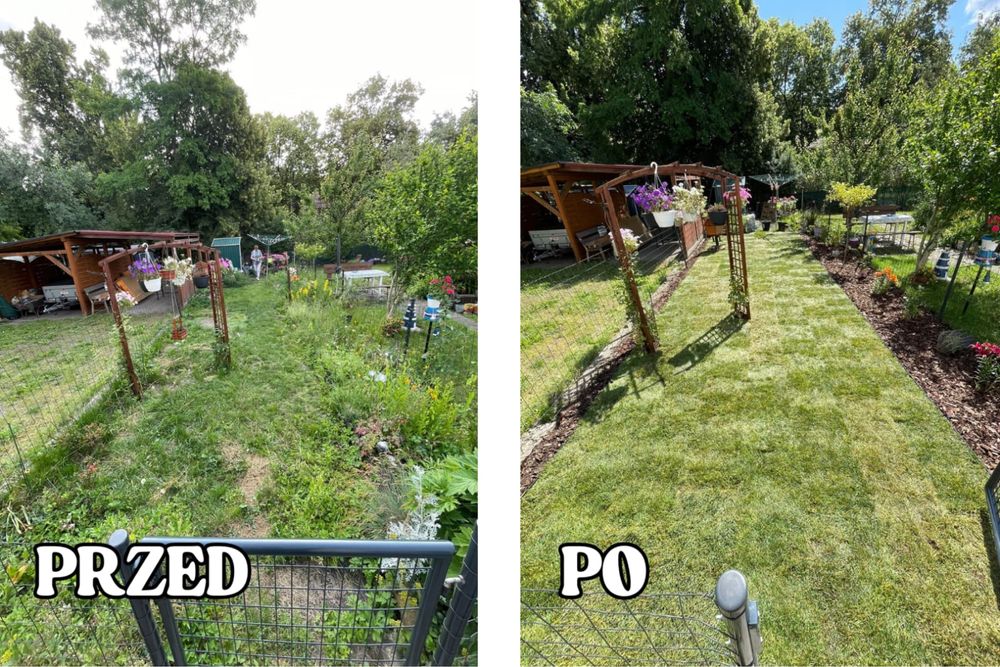 Usługi ogrodnicze, koszenie trawy, mycie kostki brukowej i elewacji