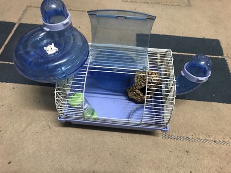Gaiola para animais de estimacao - Hamsters