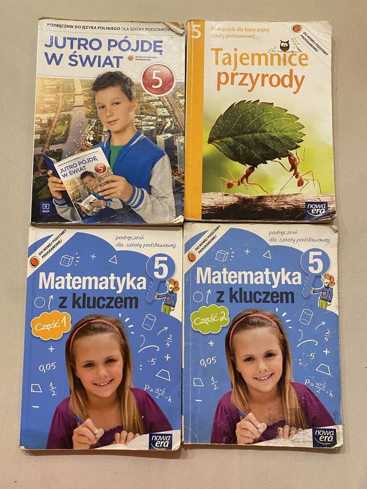 ZESTAW PODRECZNIKÓW do szkoly podstawowej - KLASA 5 -
