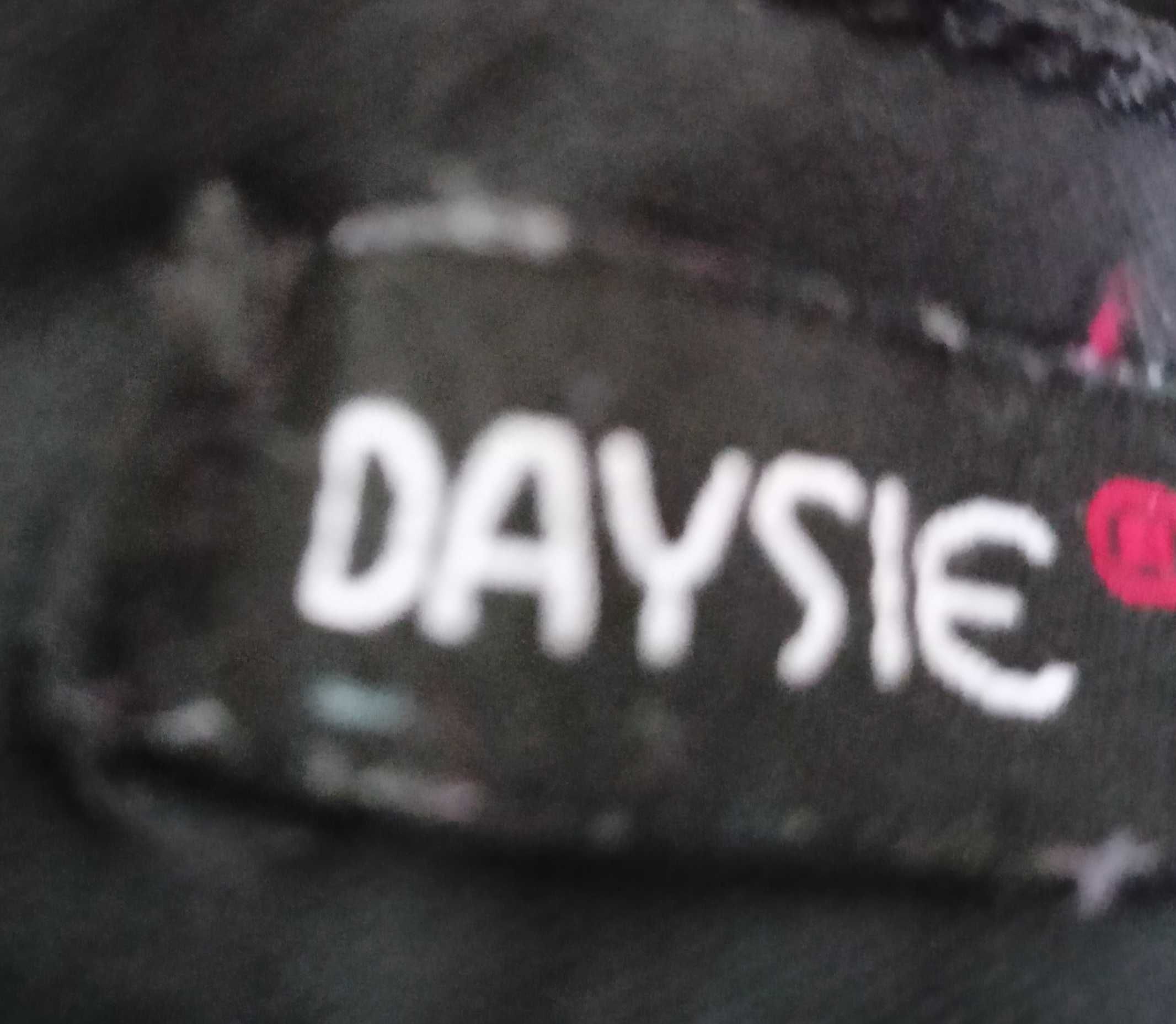Spodnie damskie woskowane 36