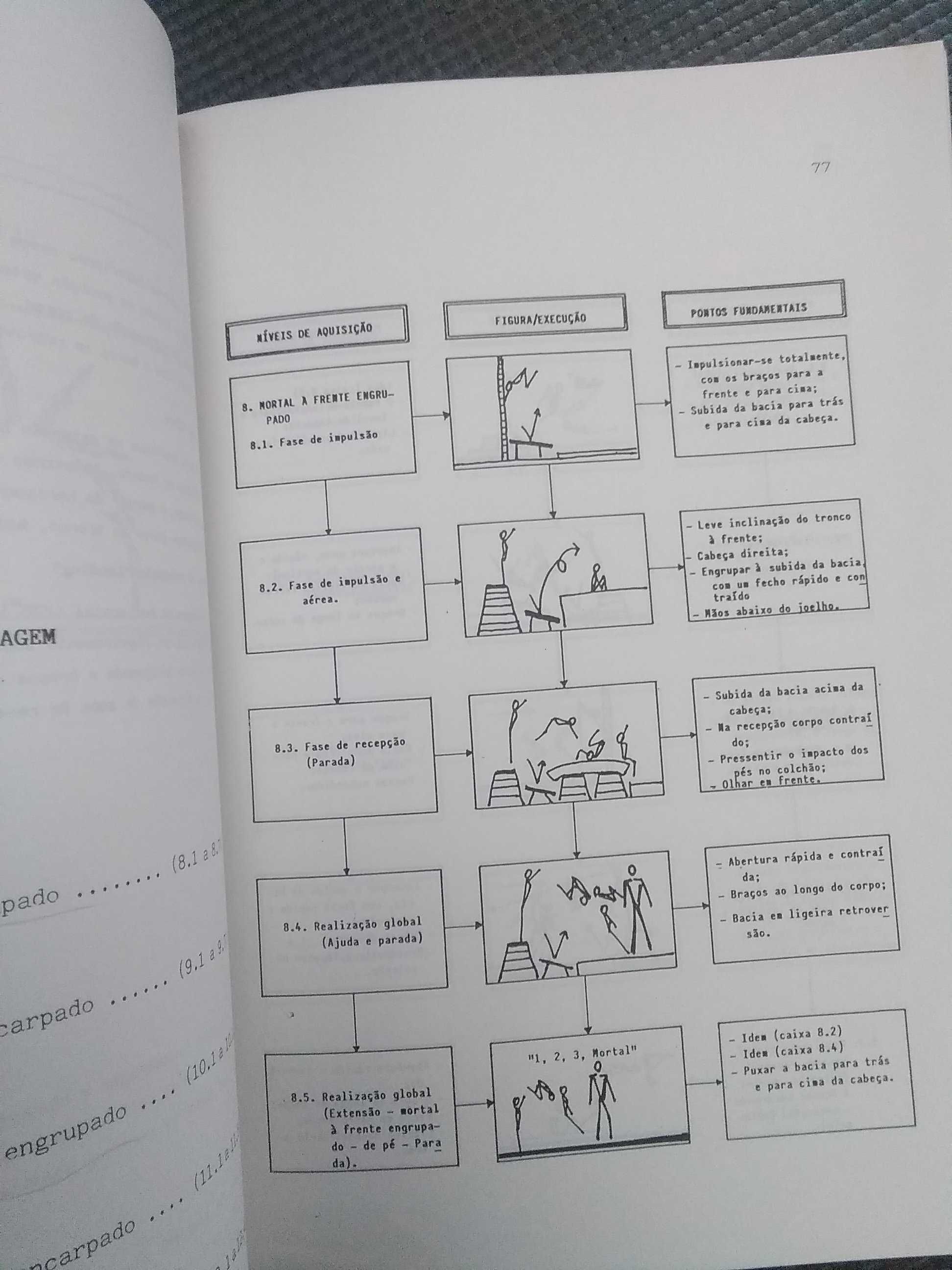 Trampolins Elásticos - Sistematização da Aprendizagem de César Peixoto