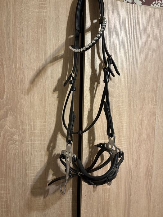 Oglowie z hackamore
