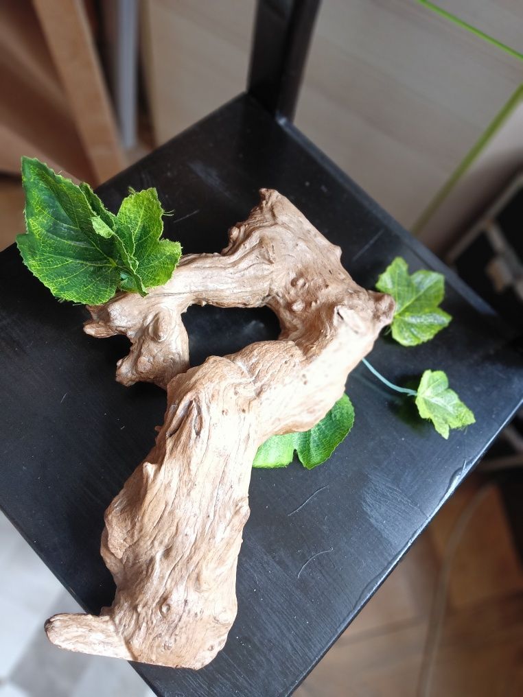 Terarium dla agamy itp