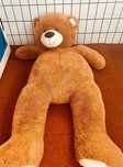 Urso de peluche (180 cm)
