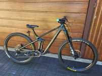 Rower Enduro Canyon Strive CF Karbon 2019 L 29