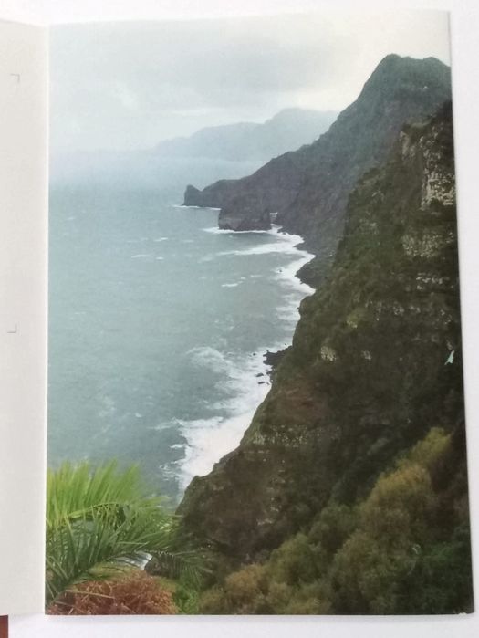 Quintas da Madeira - Pagela