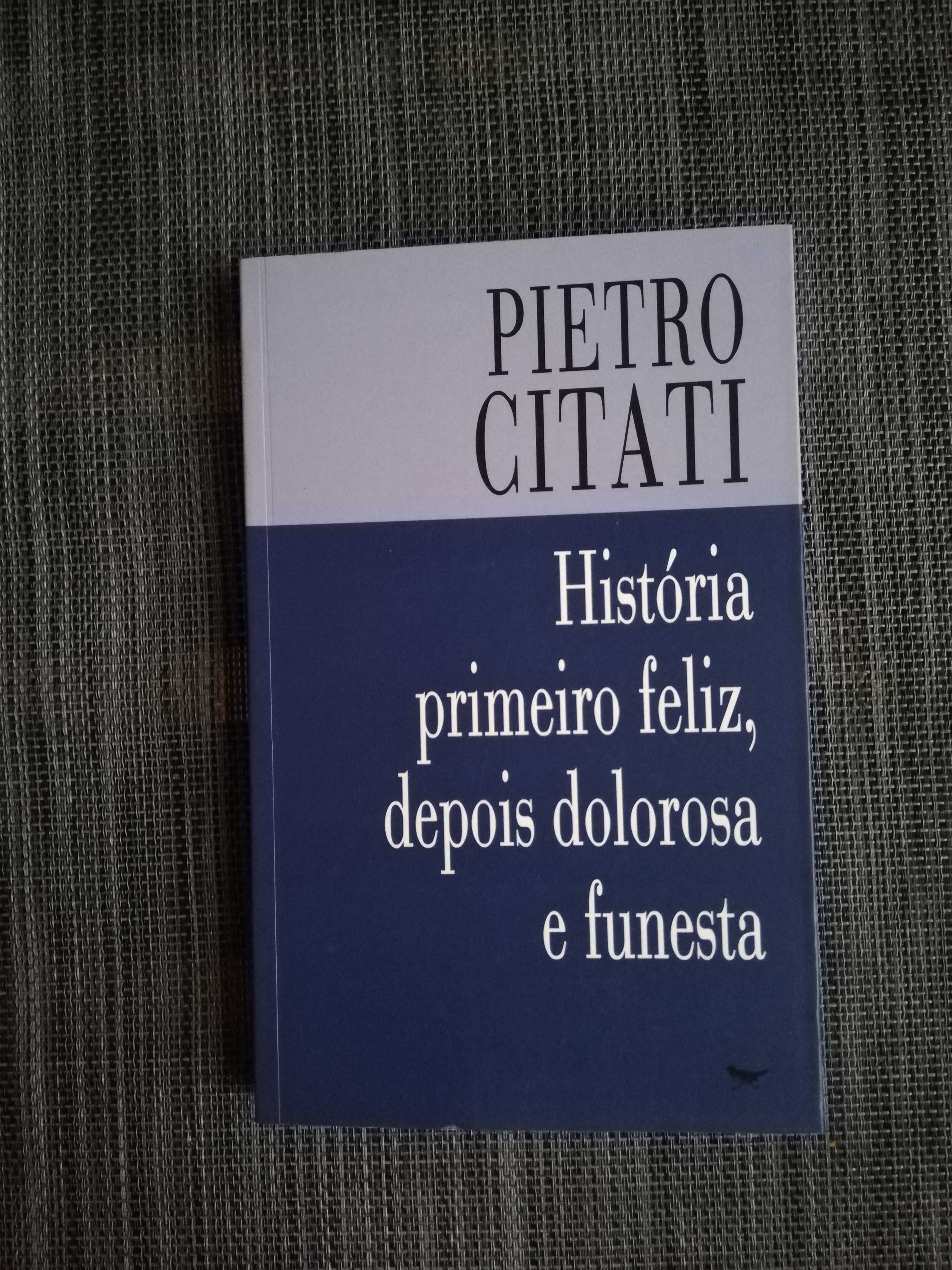 História primeiro feliz, depois dolorosa e funesta - Pietro Citati