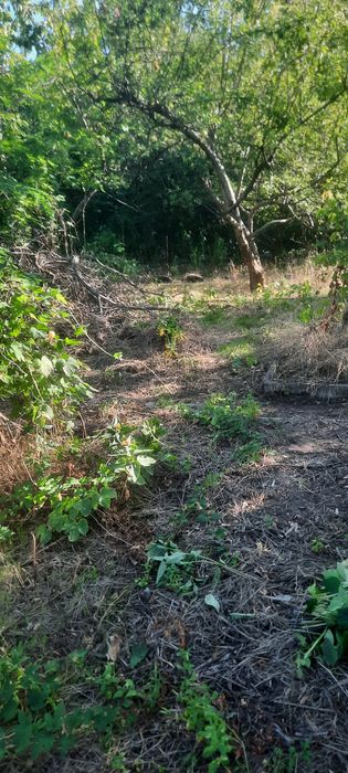 Дача в СТ " Коммунальник"