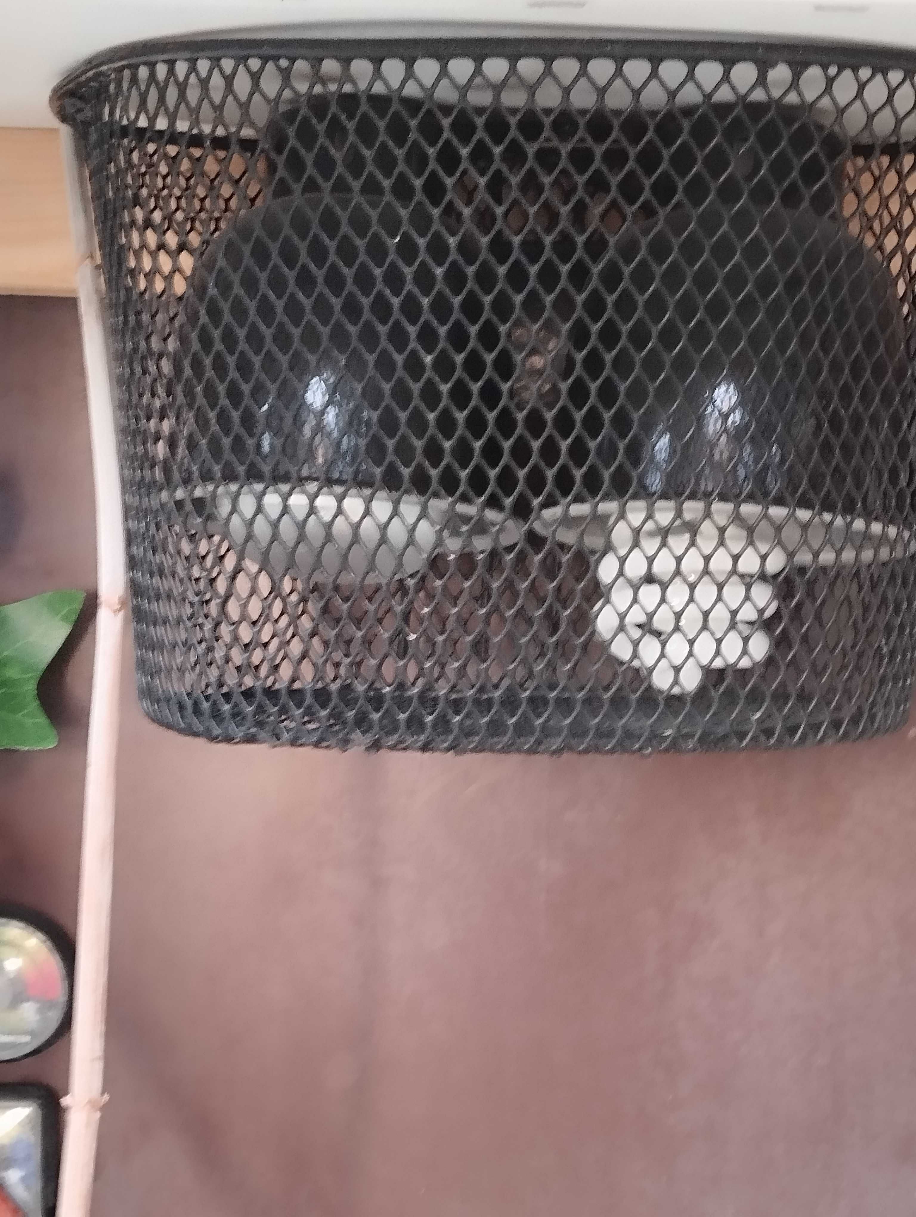 Terrarium dla kameleona/jaszczurki  - duże , wyposażone - SUPER