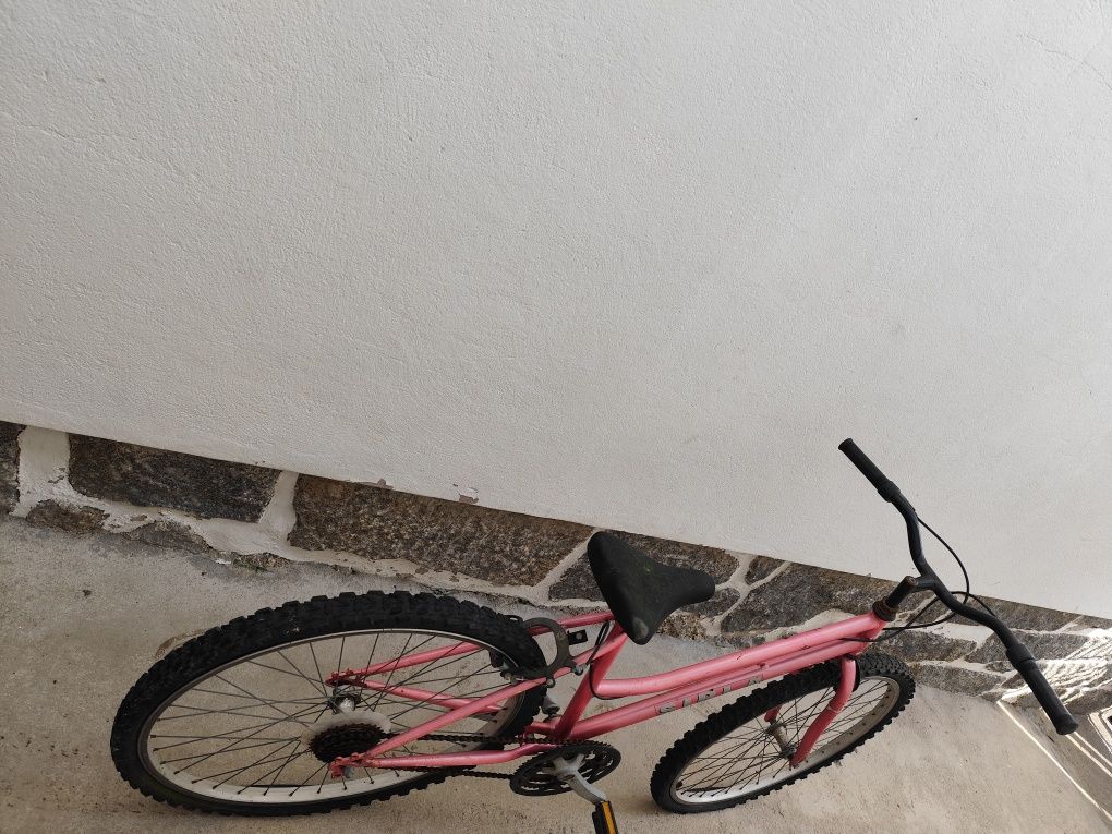 Bicicleta de adulto