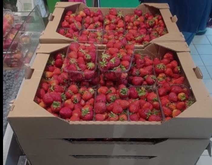 Продам клубнику сорта Клері Альба