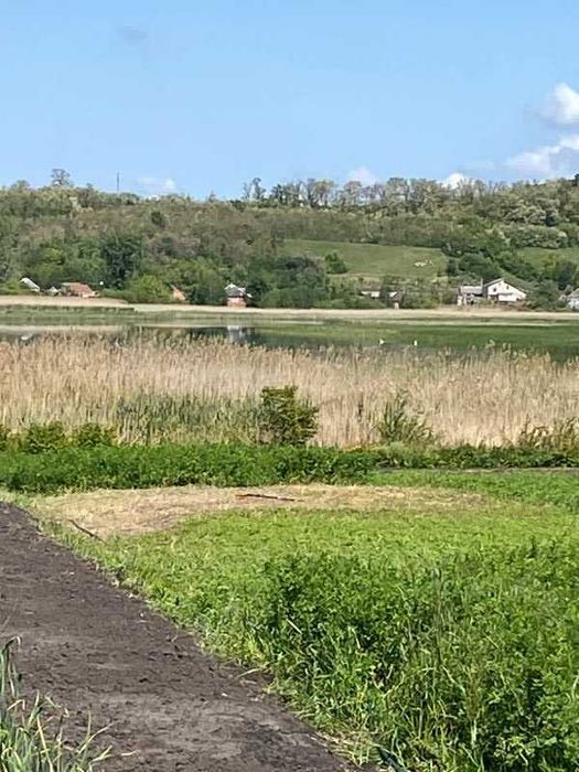 Продам будинок с. Заброди Богодухівський район (169150)