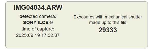 Aparat Sony A9 ILCE-9