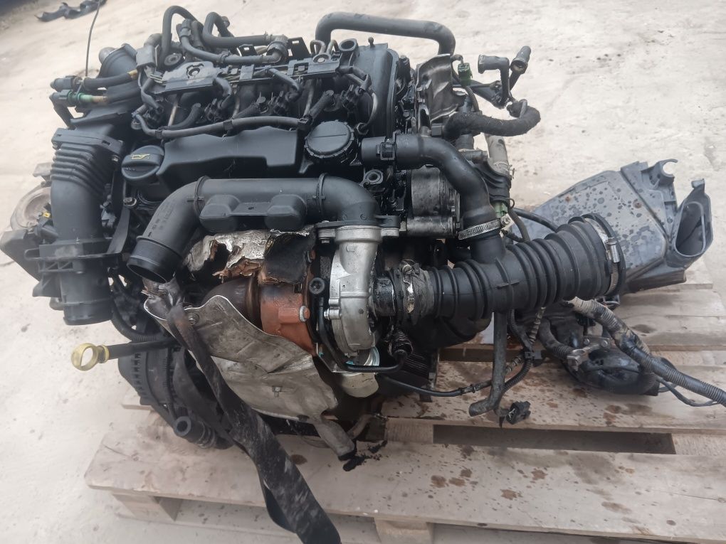 Ford Focus mk2 II silnik 1.6 hdi silnik kompletny z osprzętem G8DA