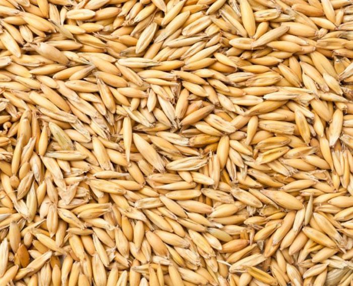 Овес / пшениця 6 грн...