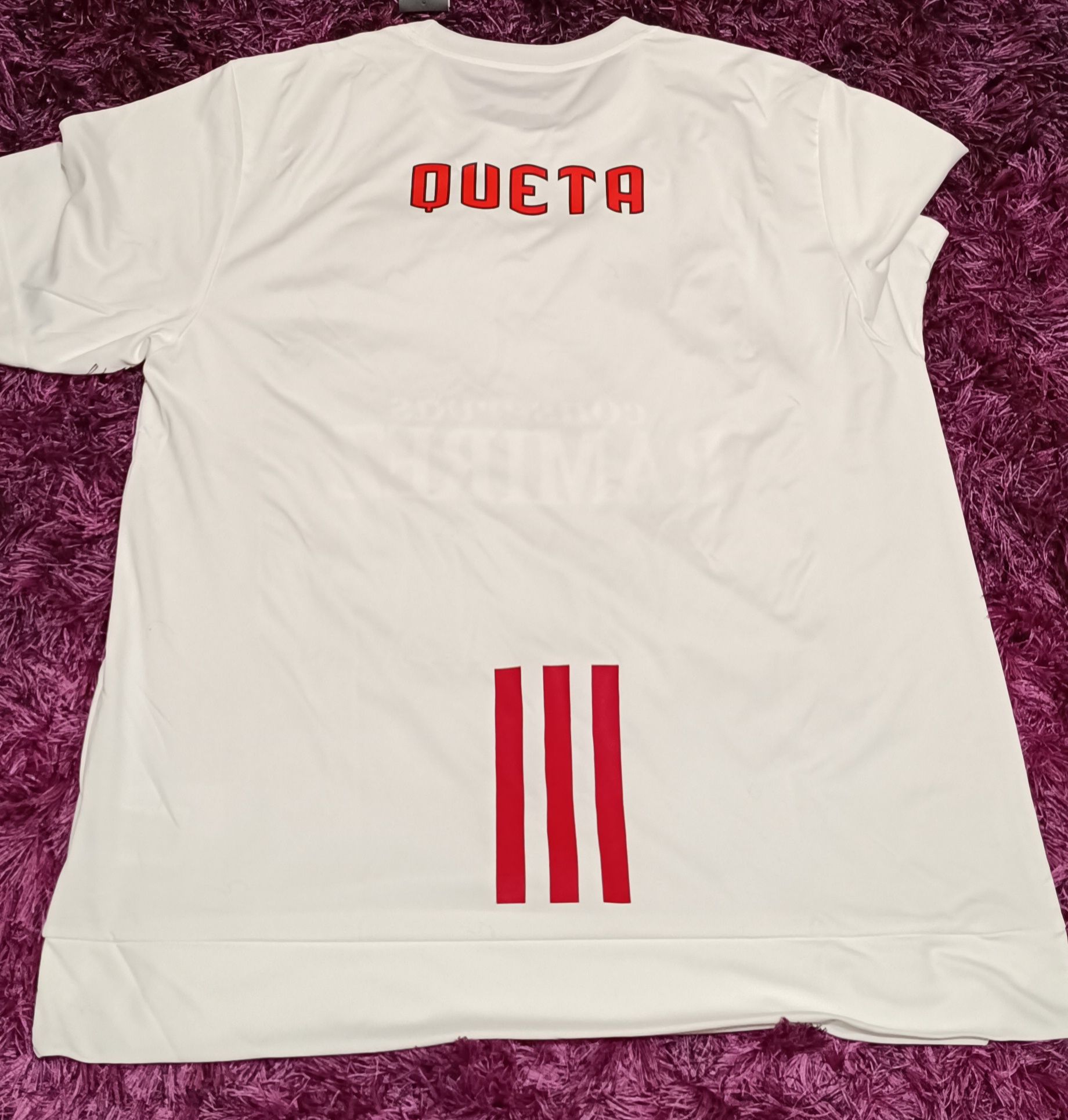 Camisola oficial aquecimento basquetebol Queta