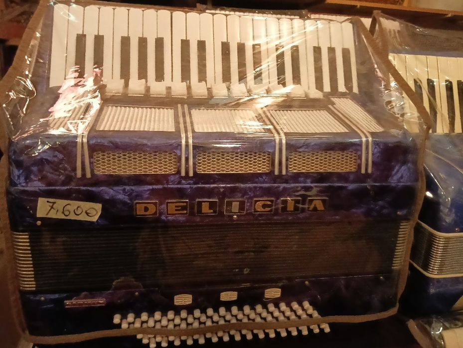 Akordeon Delicia 96 bas