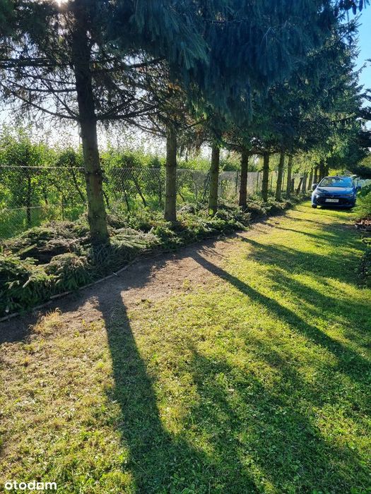 Działka nr 72/2 , 4600m2 Pierwsza linia zabudowy Boduszyn