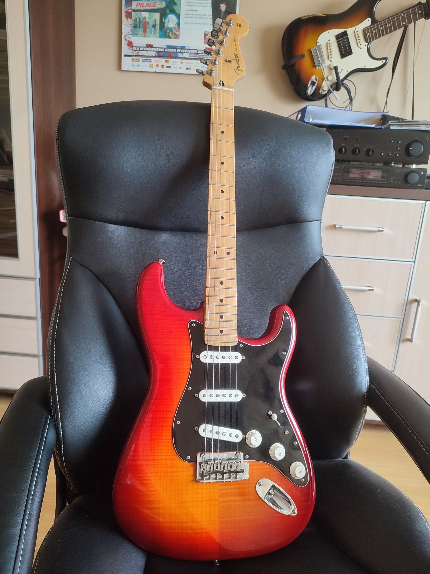 Fender stratocaster player plus top mn