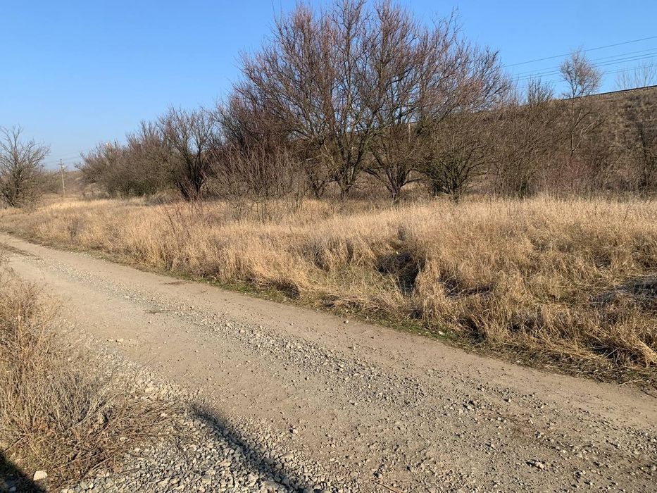 Земля Новоалександровка