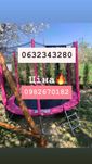 БАТУТ  140см 183см 252см 312см 374см 404см 435см