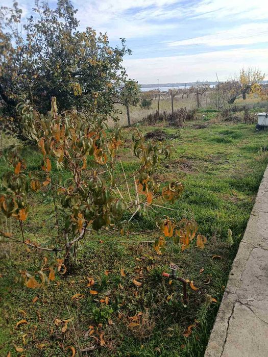 Продам 3 кімн будинок з газом,17 сот,Радсад,Миколаївська область