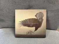 Katatonia - Old Heart Falls CD