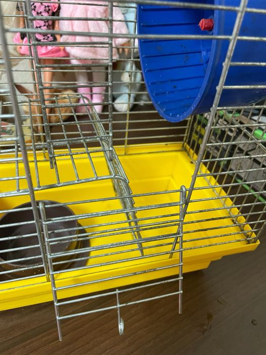 Клітка для хомяка або криси