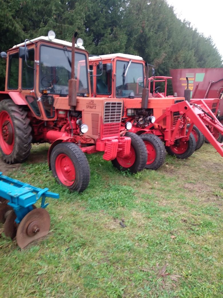 MTZ Belarus 80 KM z ładowaczem czołowym Orbitrol