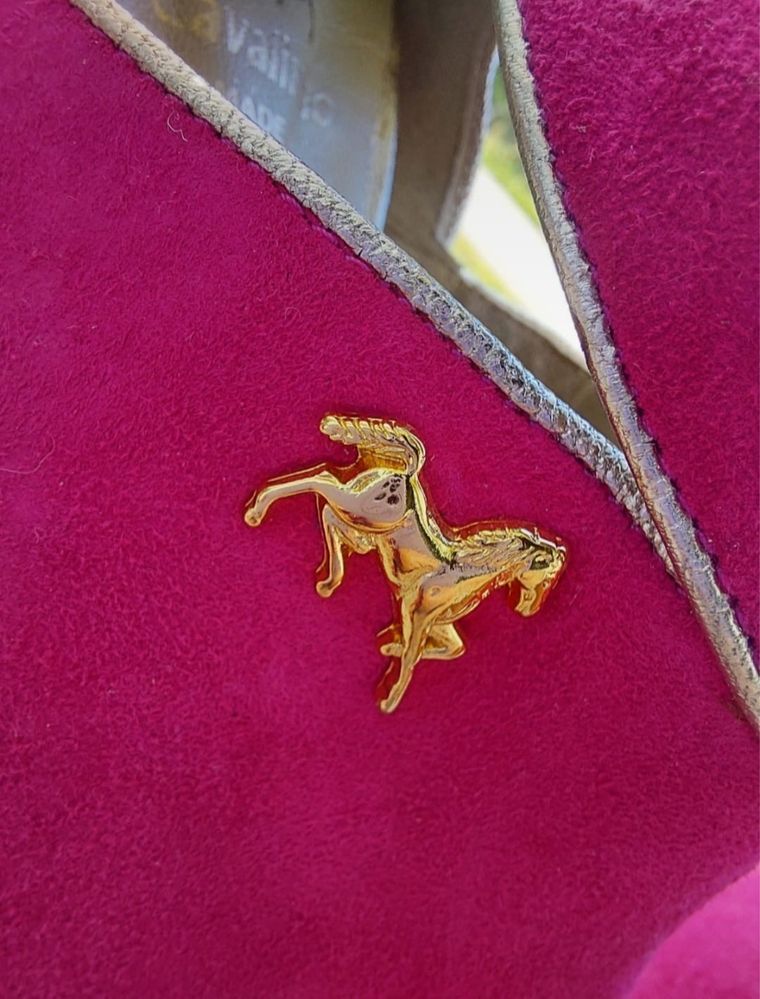 Sapatos cavalinho