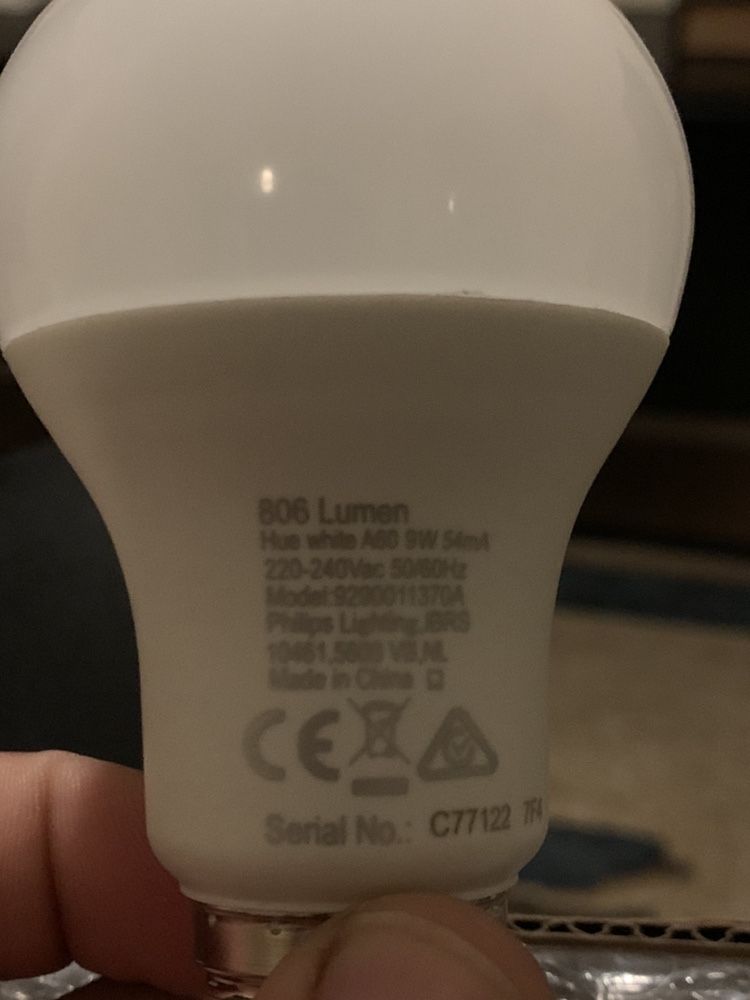 Philips Hue white homekit