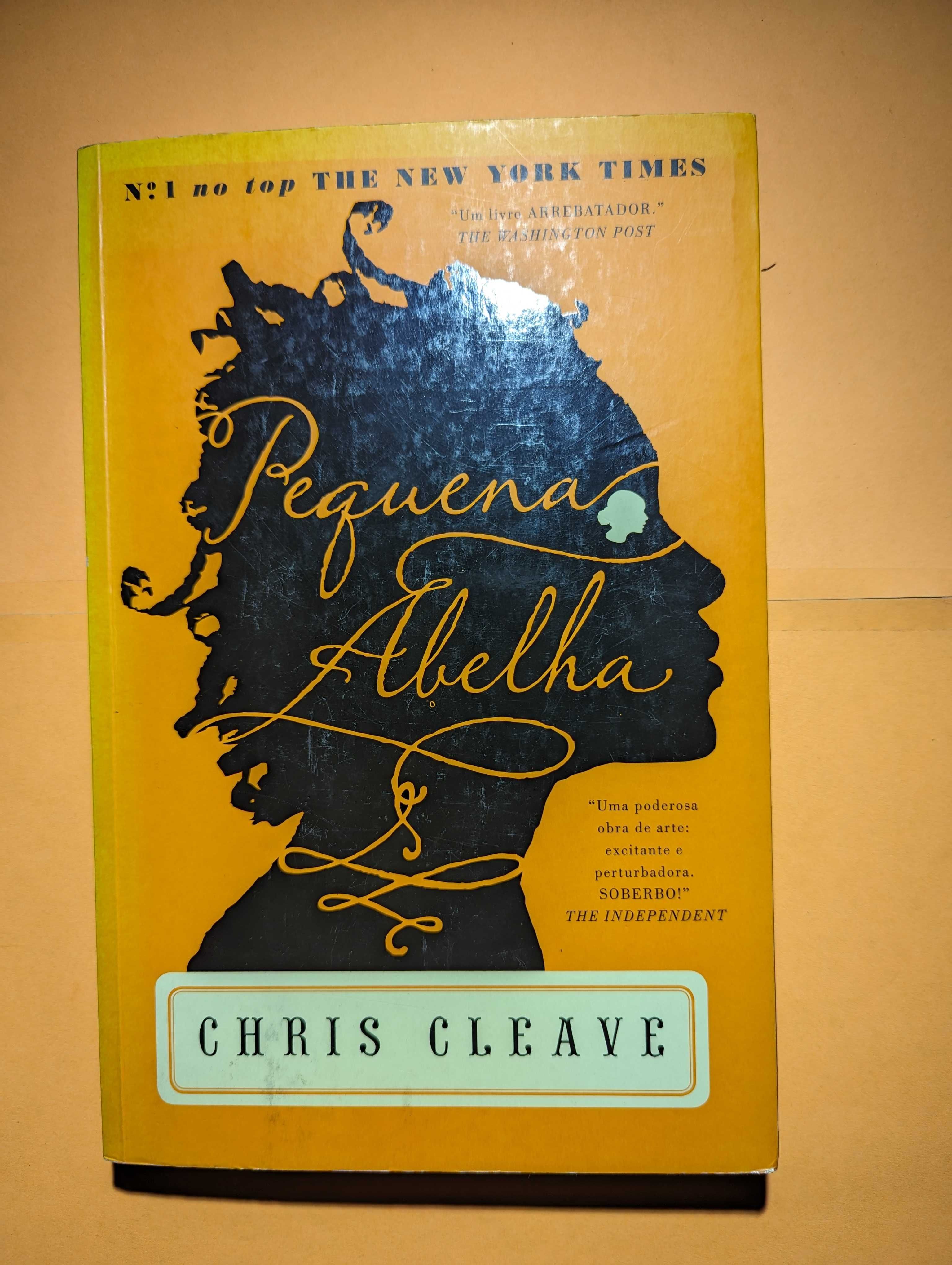 Pequena Abelha - Chris Cleave