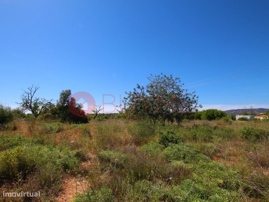 Terreno Rústico em Olhão - Natureza, Privacidade e Acesso Premium