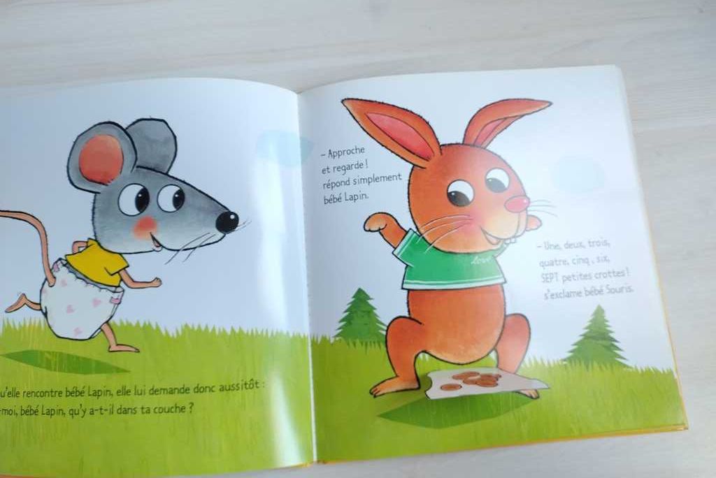 Książka francuska dla dzieci Livre français pour enfants avec rabats