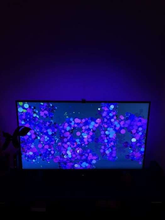 Govee TV Backlight 3 Lite